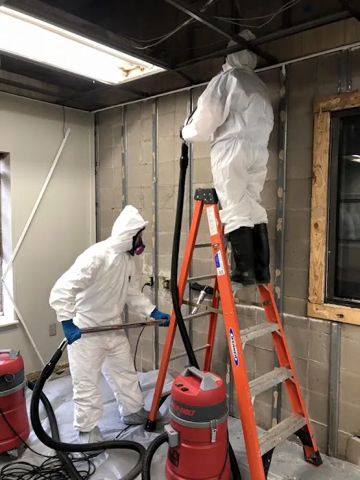 DryMax Mold Picture 3