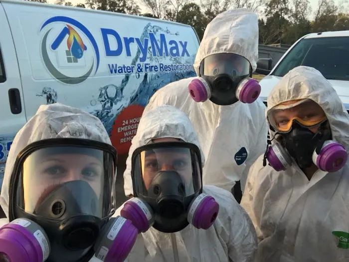 DryMax Mold Picture 4