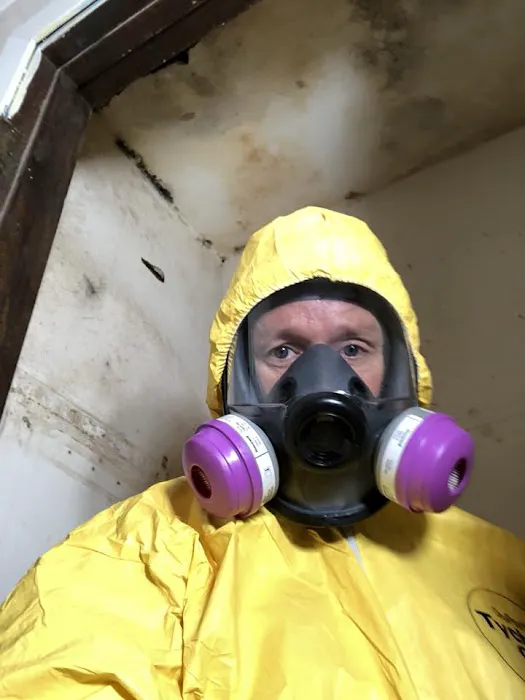 DryMax Mold Picture 6