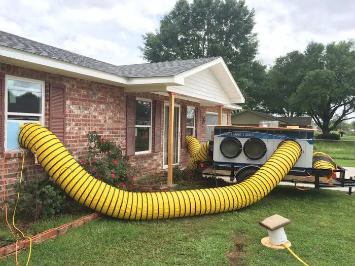 DryMax Mold Picture 7