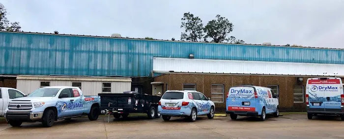 DryMax Mold Picture 1