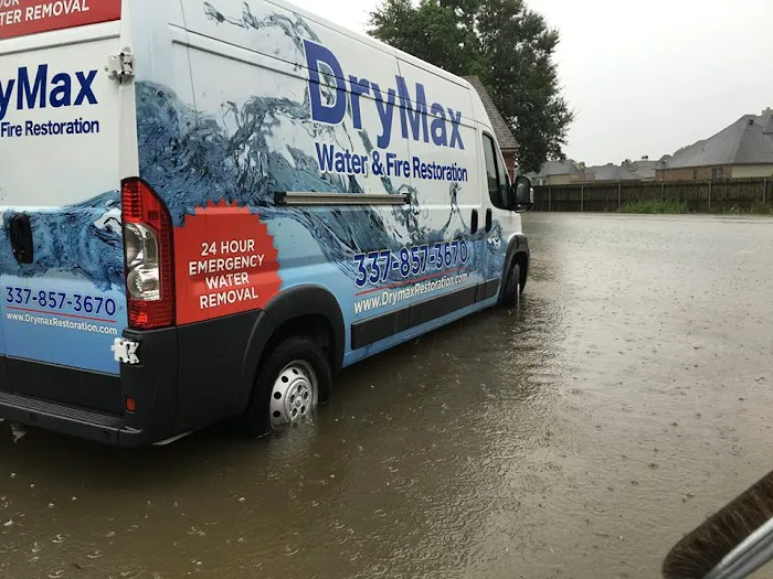 DryMax Mold Picture 8