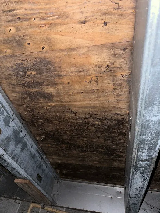 Lightspeed Restoration of Baldwin County Picture 5