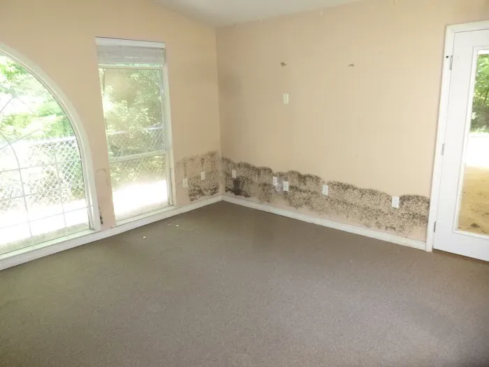 Dove Services Inc Picture 5