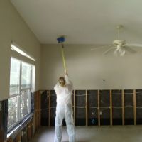 Dove Services Inc ico