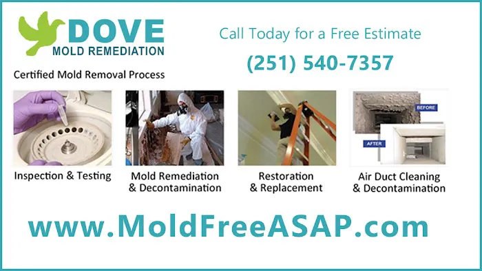 Dove Services Inc. Fairhope Picture 1