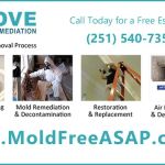 Dove Services Inc. Fairhope