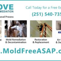 Dove Services Inc. Fairhope ico