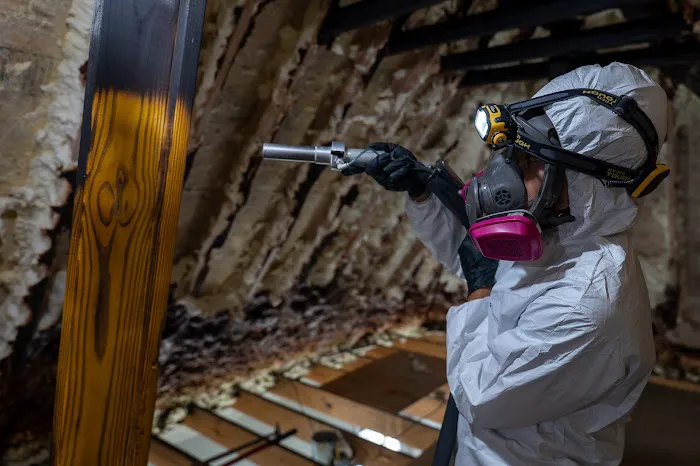 Paul Davis Restoration of Baldwin County Picture 9