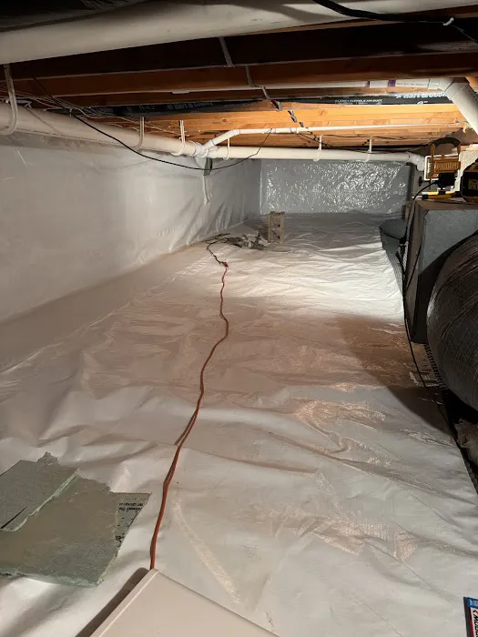 Mold Doctor Pros Picture 3