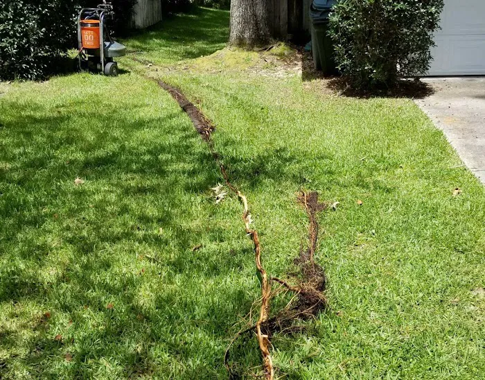 Roto Rooter Plumbing Picture 7