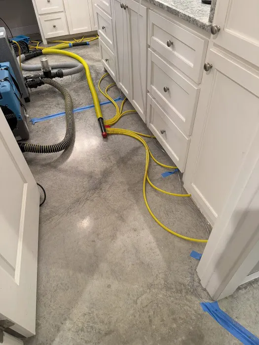 Steamatic of South Louisiana Picture 9