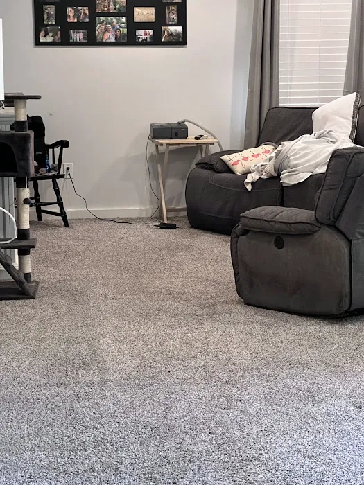 Stanley Steemer Picture 3