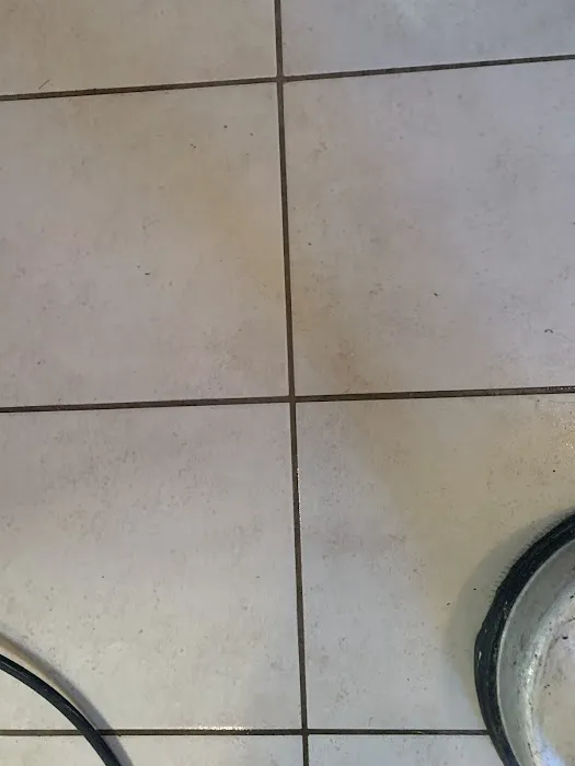 Stanley Steemer Picture 8