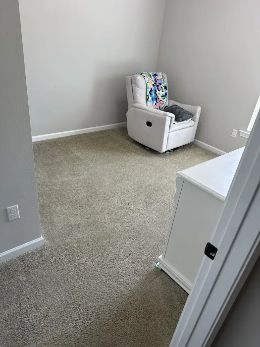 Stanley Steemer Picture 5