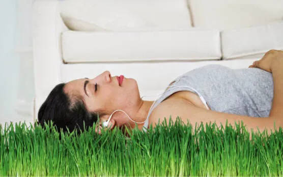 Chem-Dry On The Shore Picture 2