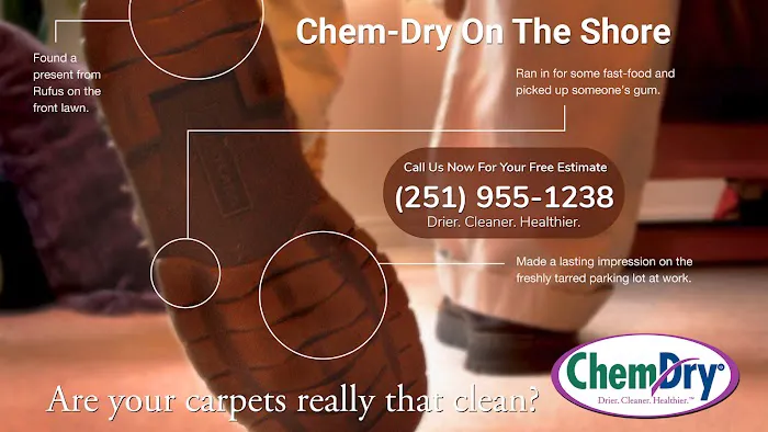 Chem-Dry On The Shore Picture 6