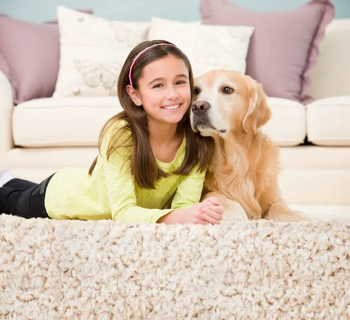 Chem-Dry On The Shore Picture 3