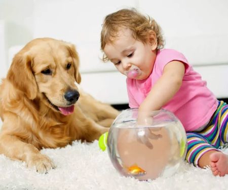 Chem-Dry On The Shore