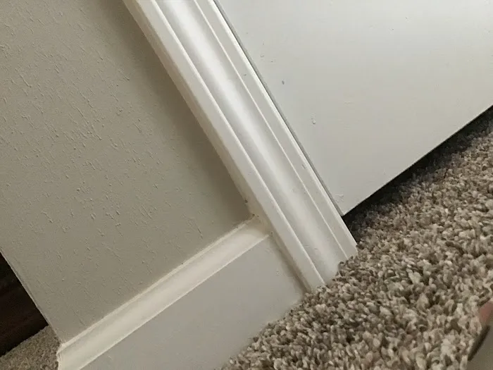 Chem-Dry On The Shore Picture 7