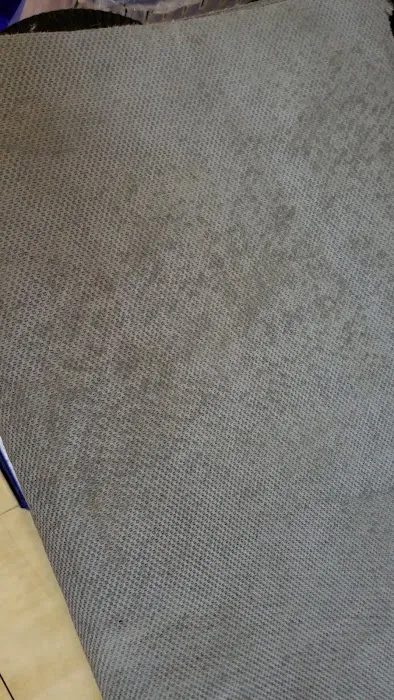 Advanced Carpet Cleaning & Restoration Picture 2
