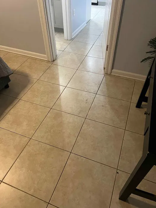 Advanced Carpet Cleaning & Restoration Picture 8