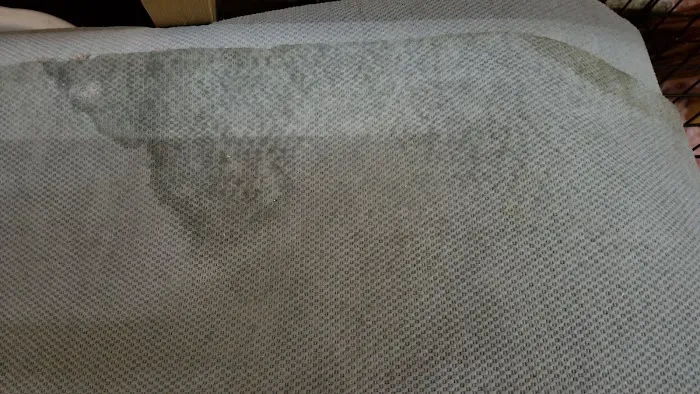 Advanced Carpet Cleaning & Restoration Picture 1