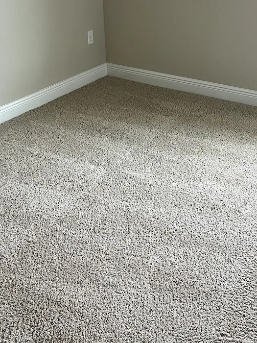 Advanced Carpet Cleaning & Restoration Picture 3