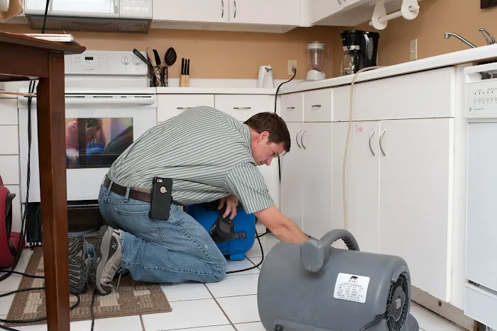 Emerald Coast Carpet Cleaning & Restoration, LLC Picture 3