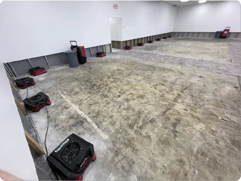 DRI Gulf Coast Picture 6