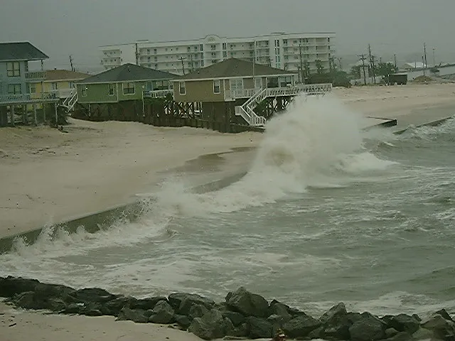 Expert Dry ® We Dry Wet Buildings® Picture 6