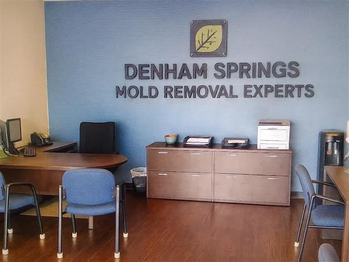 Denham Springs Mold Removal Experts Picture 1