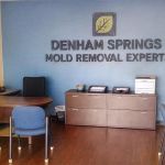 Denham Springs Mold Removal Experts