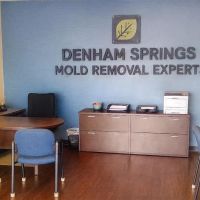 Denham Springs Mold Removal Experts ico