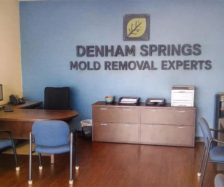 Denham Springs Mold Removal Experts