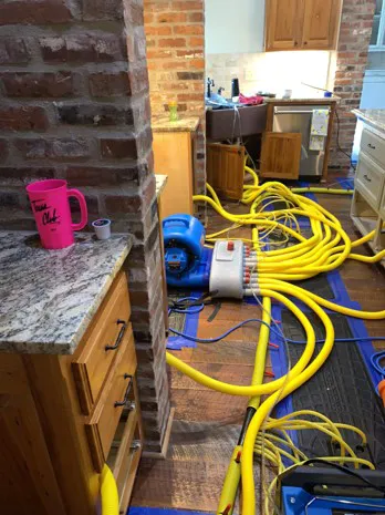 Restoration 1 of East Baton Rouge Picture 2