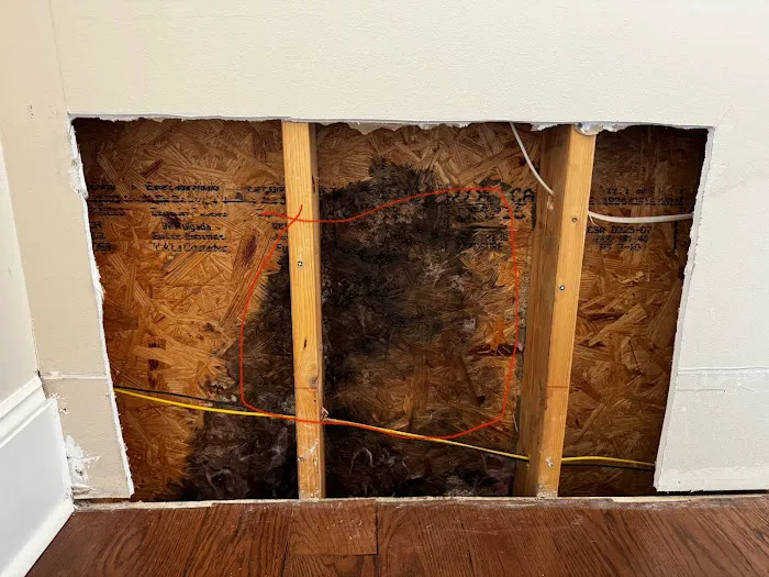 Relief Restoration Picture 6