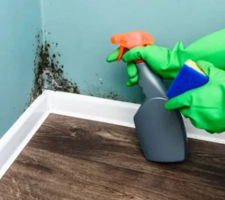 BELFOR Property Restoration Picture 7