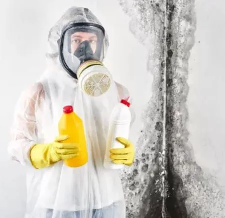 BELFOR Property Restoration Picture 10