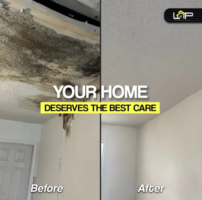 LAP Services LLC. Picture 6