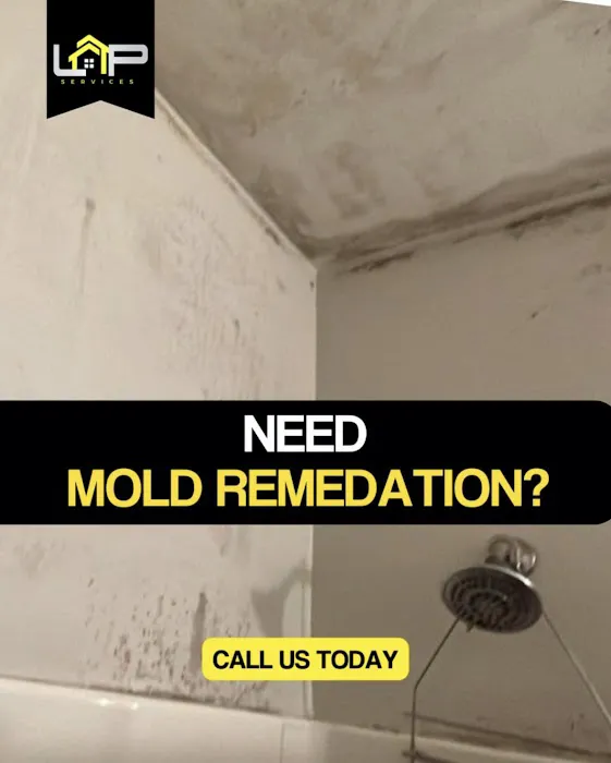 LAP Services LLC. Picture 5