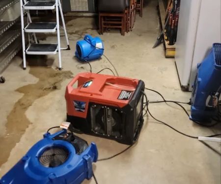 Lighthouse Disaster Services