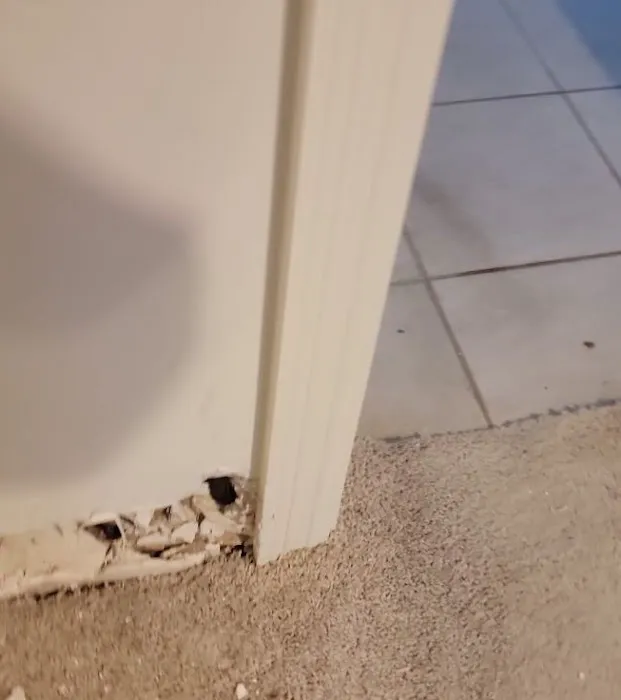 Lighthouse Disaster Services Picture 8