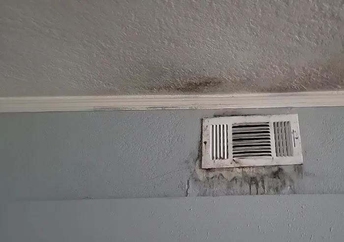 Lighthouse Disaster Services Picture 9