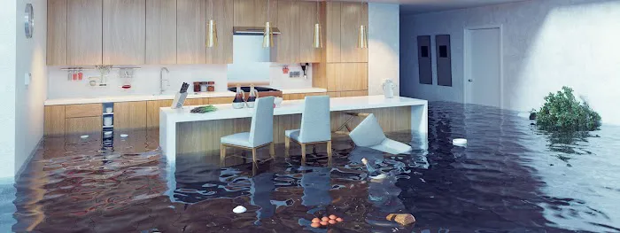 S&S Restoration Pros LLC Picture 1