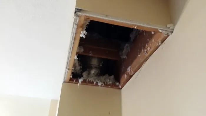 A1 Water Damage Restoration Picture 1