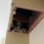 A1 Water Damage Restoration