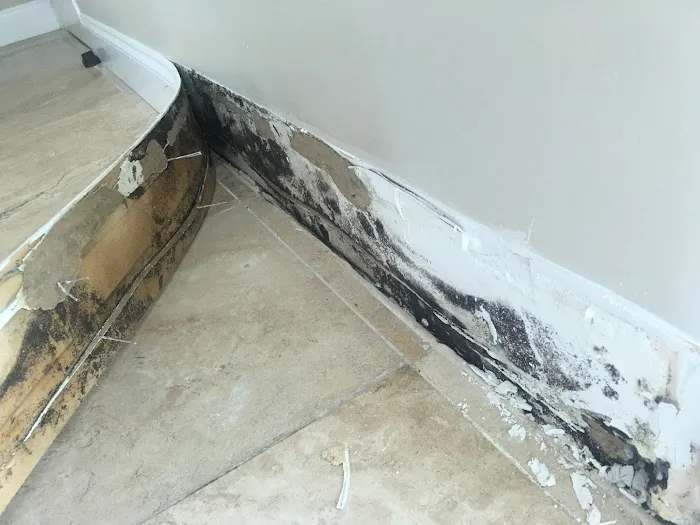 Insider Investigations Picture 6