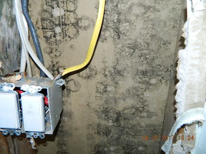 Insider Investigations Picture 4