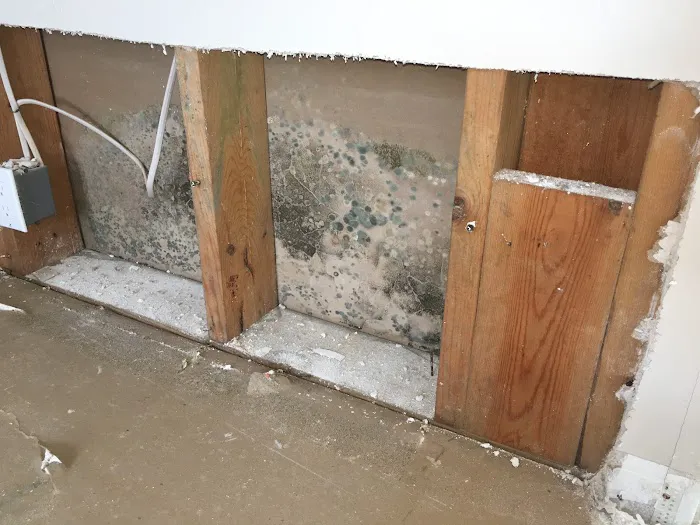 Insider Investigations Picture 7